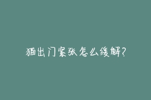 猫出门紧张怎么缓解?-动物百科