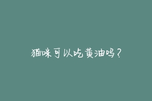 猫咪可以吃黄油吗?-动物百科