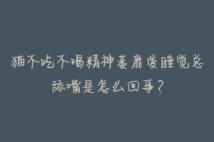 猫不吃不喝精神萎靡爱睡觉总舔嘴是怎么回事?-动物百科
