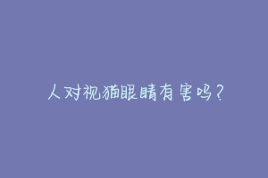 人对视猫眼睛有害吗?-动物百科