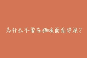 为什么不要在猫咪面前铲屎?-动物百科