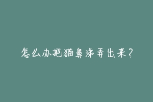 怎么办把猫鼻涕弄出来?-动物百科