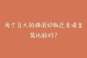 两个月大的猫用奶瓶还是喂食器比较好?-动物百科