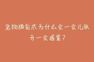 宠物猫前爪为什么会一会儿张开一会握紧?-动物百科