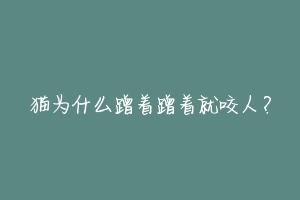 猫为什么蹭着蹭着就咬人?-动物百科