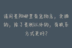 请问贵阳哪里有宠物店,卖猫的,除了贵刚以外的,有联系方式更好?-动物百科