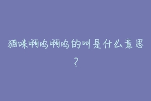 猫咪啊呜啊呜的叫是什么意思?-动物百科