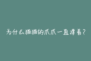 为什么猫猫的爪爪一直撑着?-动物百科