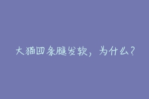 大猫四条腿发软,为什么?-动物百科