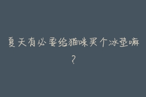夏天有必要给猫咪买个冰垫嘛?-动物百科
