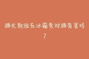 猫长期放在冰箱旁对猫有害吗?-动物百科