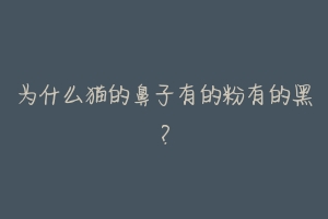 为什么猫的鼻子有的粉有的黑?-动物百科