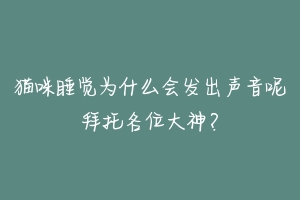 猫咪睡觉为什么会发出声音呢拜托各位大神?-动物百科