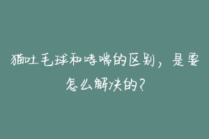 猫吐毛球和哮喘的区别,是要怎么解决的?-动物百科