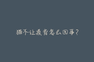 猫不让摸背怎么回事?-动物百科