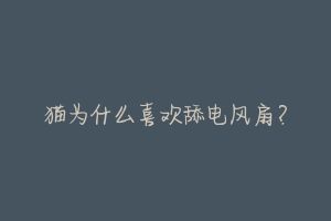 猫为什么喜欢舔电风扇?-动物百科