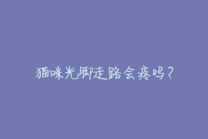 猫咪光脚走路会疼吗?-动物百科