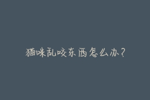 猫咪乱咬东西怎么办?-动物百科