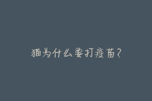 猫为什么要打疫苗?-动物百科