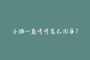 小猫一直哼哼怎么回事?-动物百科