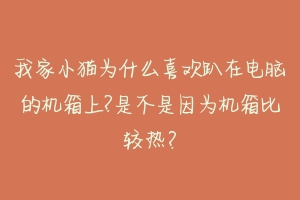 我家小猫为什么喜欢趴在电脑的机箱上?是不是因为机箱比较热?-动物百科