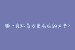 猫一直趴着发出呜呜的声音?-动物百科