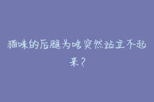 猫咪的后腿为啥突然站立不起来?-动物百科