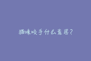 猫咪咬手什么意思?-动物百科