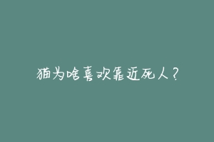 猫为啥喜欢靠近死人?-动物百科