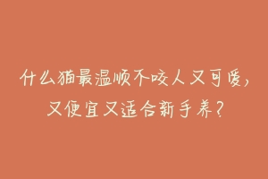 什么猫最温顺不咬人又可爱,又便宜又适合新手养?-动物百科