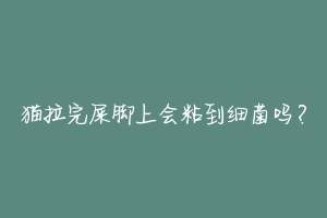 猫拉完屎脚上会粘到细菌吗?-动物百科