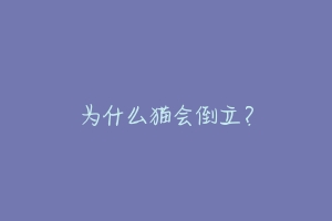 为什么猫会倒立?-动物百科