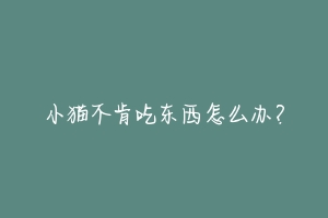 小猫不肯吃东西怎么办?-动物百科