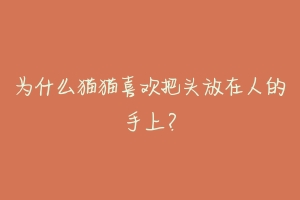 为什么猫猫喜欢把头放在人的手上?-动物百科