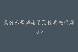 为什么母猫绝育后性格变活泼了?-动物百科