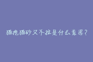 猫挖猫砂又不拉是什么意思?-动物百科