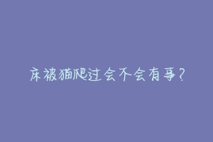 床被猫爬过会不会有事?-动物百科