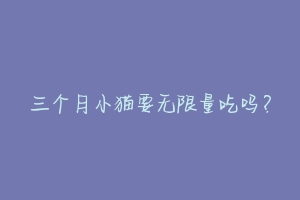 三个月小猫要无限量吃吗?-动物百科