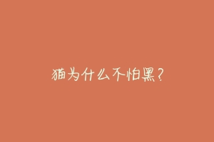 猫为什么不怕黑?-动物百科