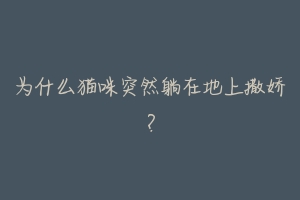 为什么猫咪突然躺在地上撒娇?-动物百科