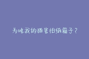 为啥我的猫害怕纸箱子?-动物百科