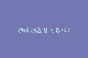 猫咪泪痕是毛色吗?-动物百科