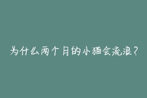 为什么两个月的小猫会流浪?-动物百科