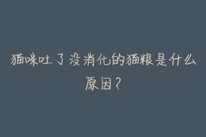 猫咪吐了没消化的猫粮是什么原因?-动物百科