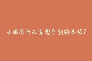 小猫有什么意想不到的本领?-动物百科