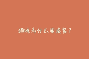 猫咪为什么要换窝?-动物百科