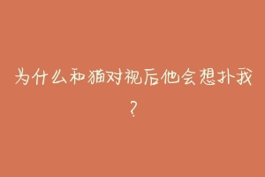 为什么和猫对视后他会想扑我?-动物百科
