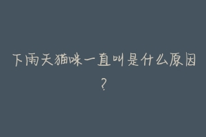 下雨天猫咪一直叫是什么原因?-动物百科