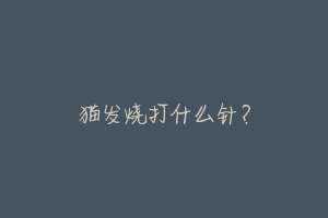 猫发烧打什么针?-动物百科