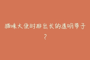 猫咪大便时排出长的透明带子?-动物百科